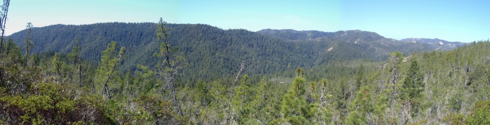Panorama from McCrary Ridge